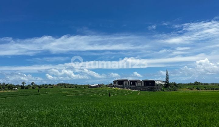 Dijual Tanah Full View Laut - Gunung - dan Sawah di Pantai Pasut Tabanan Bali