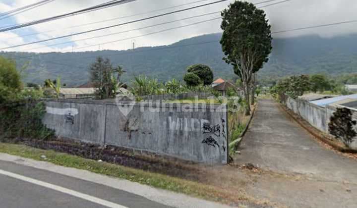 For Sale Tanah Komersil Bedugul Tabanan Bali