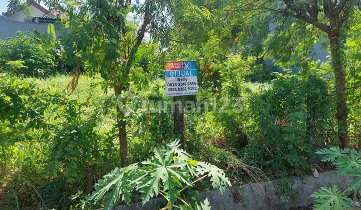 Tanah Murah Penjaringan Dekat Rungkut,sukolilo,medokan,surabaya