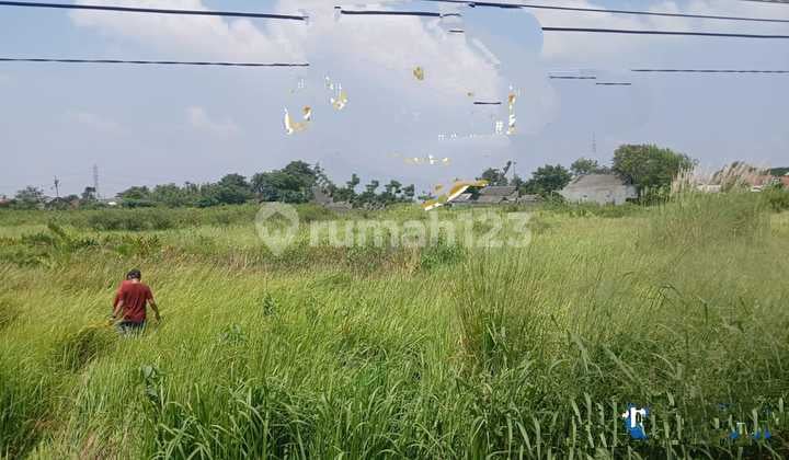 Dijual Tanah Di Sukatani, Tambelang-Cikarang