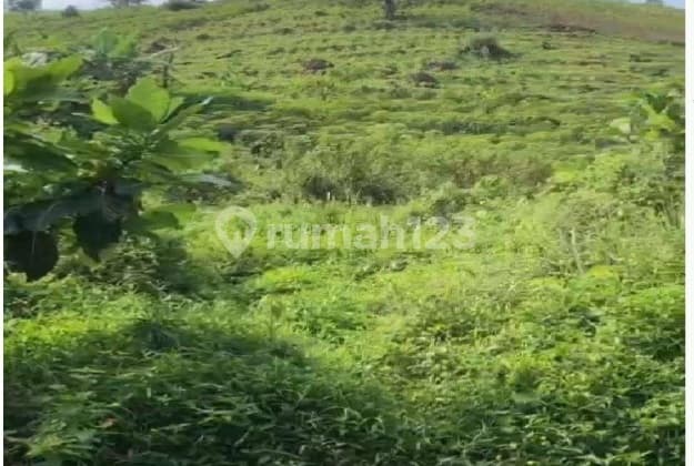 Dijual B.u Kavling Sentul Bogor