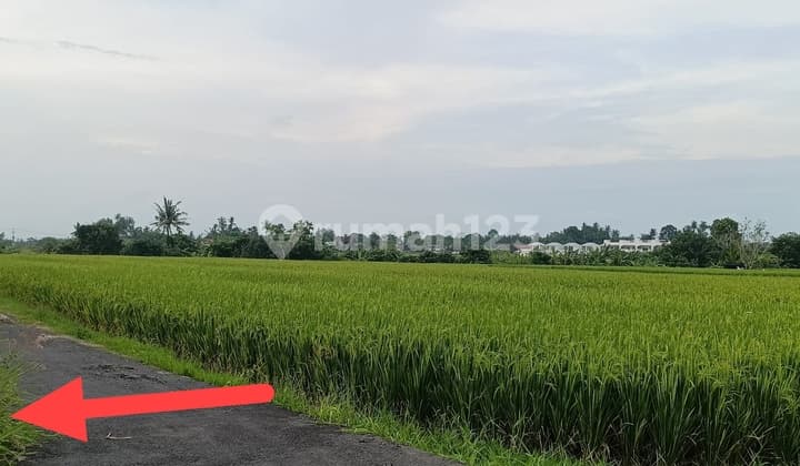 Tanah 2.5 Are Tabanan Bali Zona Pariwisata Dekat Pantai Kedungu