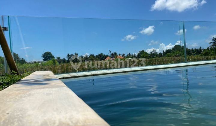 Villa 2 Kamar Di Ubud Bali - Private Pool, View Sawah Abadi SHM
