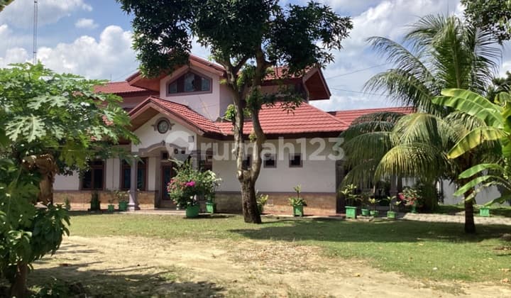 Tanah Luas Dan Rumah Dijual di Jl. Sutomo Pekanbaru