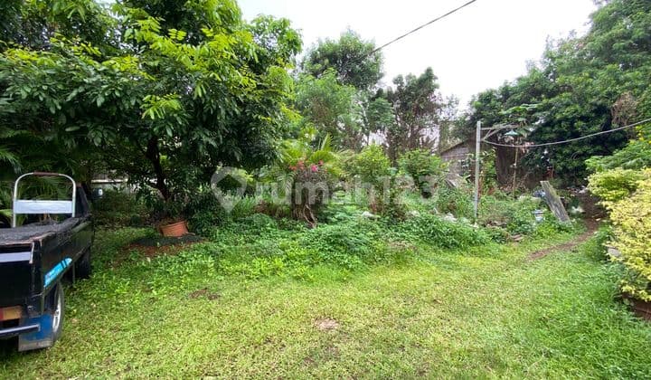 Di Jual Melalui Lelang Tanah Bagus di Ciputat Tangerang Selatan