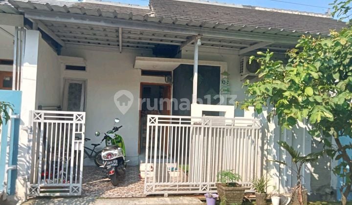 Rumah Siap Huni Cianjur Kota Lt 60 Lb 36 Harga 235 Jt