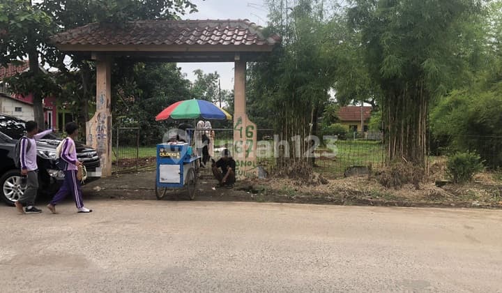 Dry Land and Rice Fields in East Karawang, West Java