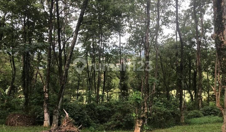 Tanah Kavling View Golf Di Sentul City Bogor