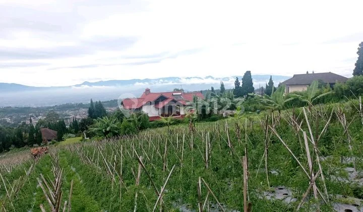 Tanah Kavling Di Simpang Lembang Asri Resort Bandung Tanah Kavling Di Simpang Lembang Asri Resort Bandung