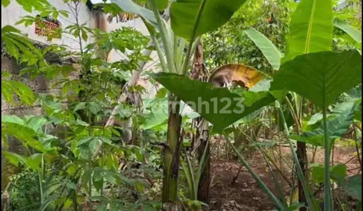 Tanah di Lokasi Premium Cocok untuk Investasi dan Pengembang di Pamulang Bersebelahan Taman Wali Kota Tangerang Selatan