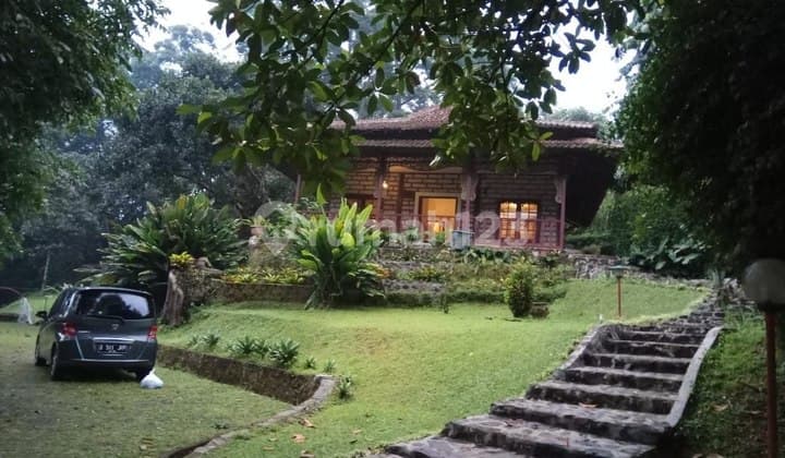 Villa + Tanah Luas Bangunan Terawat di Cisarua Bogor