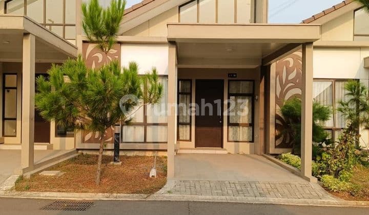 Podomoro River View Cluster Juniper