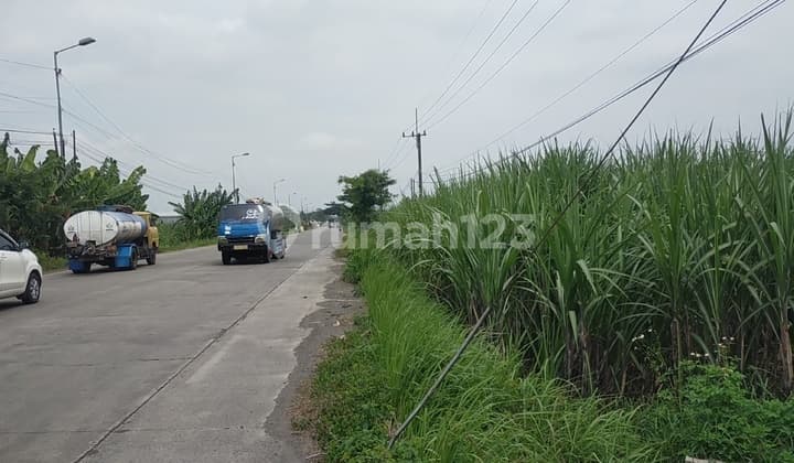 Jual Tanah Industri Mojokerto