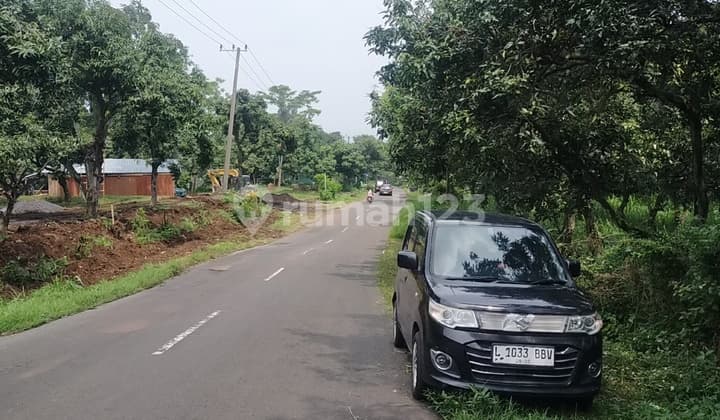 Jual Tanah Buat Ternak , Wisata , Perkebunan