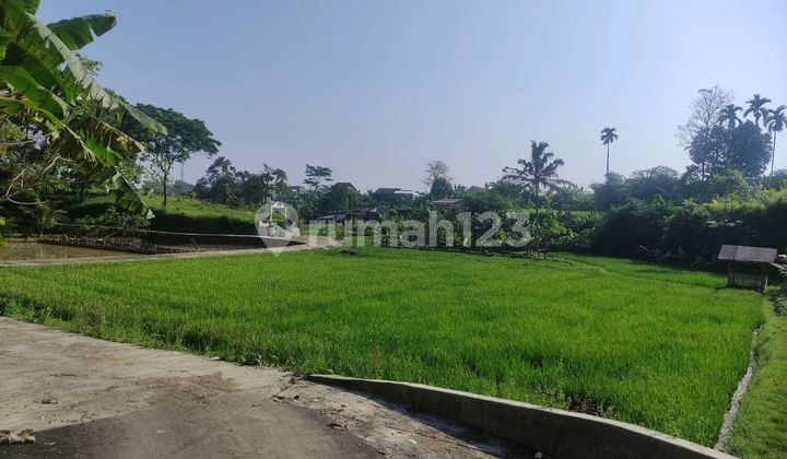 Dijual Tanah Murah Lokasi Strategis Dekat Pintu Tol Bocimi Caringin Bogor