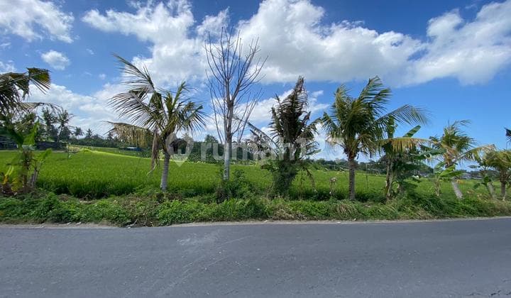 Hot List Di Jual Tanah Pinggir Jalan Raya Lokasi Nyanyi Beraban Tabanan Bali