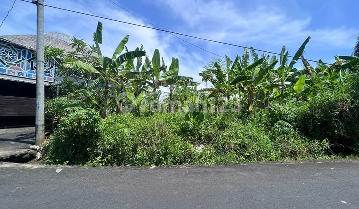 Hot List for sale of strategic land in Bayuh Bayuh Canggu, Utara Kuta, Badung