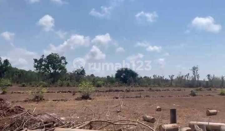 Hot List Di Jual Tanah Lokasi Pecatu Kuta Selatan