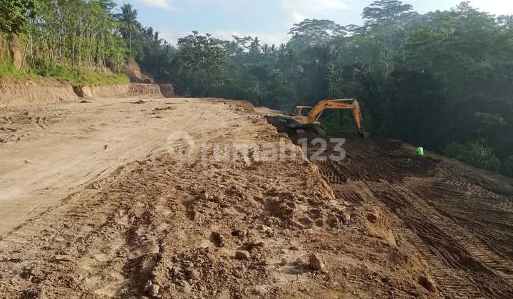 Hot List of River Loss Land for Sale Bakbakan Ubud Gianyar Location
