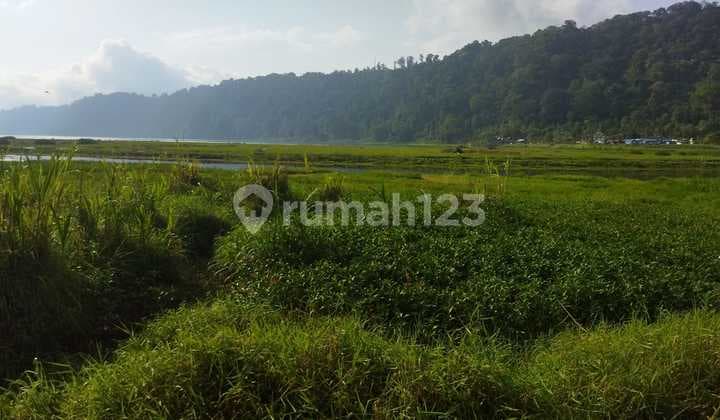 Hot List Di Jual Tanah Los Danau View Tower Duryupada Lokasi Suka Sada Pancasari Buleleng