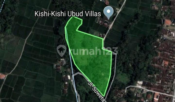 Hot List Di Jual Tanah View Sawah Premium Lokasi Suweta Ubud Gianyar
