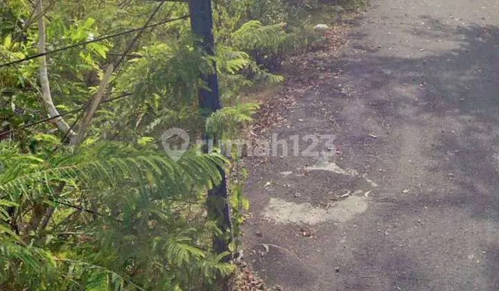 Hot List Di Jual Tanah Lokasi Kutuh Nusa Dua Kuta Selatan