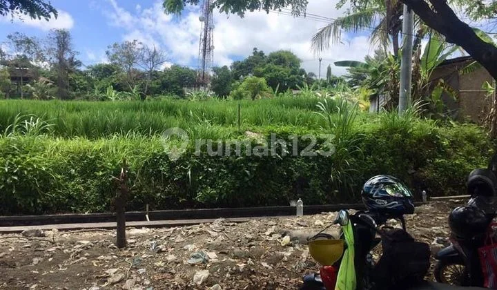 Hot List Di Jual Tanah Lokasi Tulikup Gianyar