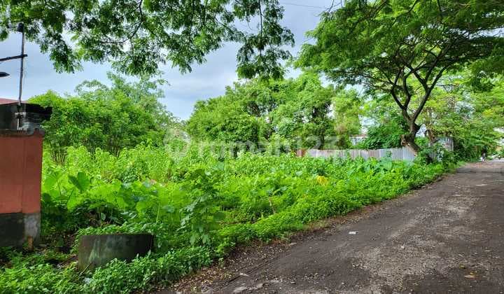 Hot List Di Jual Tanah Lokasi Taman Sari Kerobokan Seminyak Kuta Badung