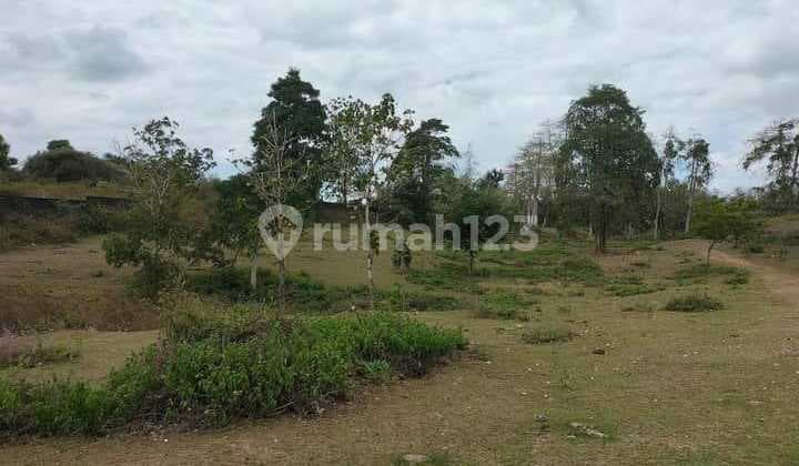 Hot List Di Jual Tanah Loss Tebing View Laut Lokasi Pecatu Kuta Selatan Badung