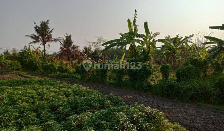 Hot List Di Jual Tanah Pinggir Jalan Utama View Sawah Lokasi Singapadu Sukawati Gianyar