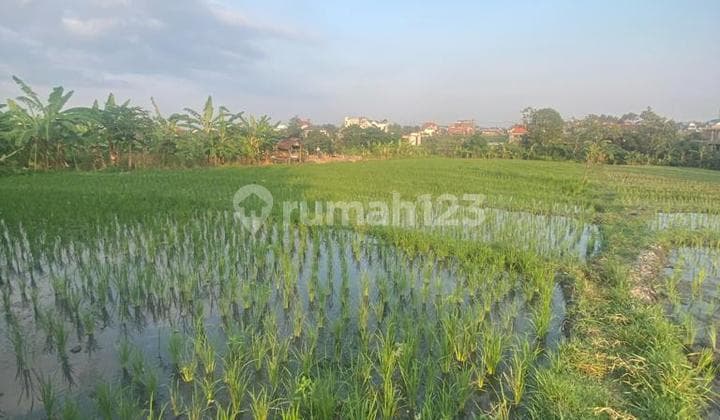 Hot List Di Jual Tanah Lokasi Brawa Canggu Kuta Utara