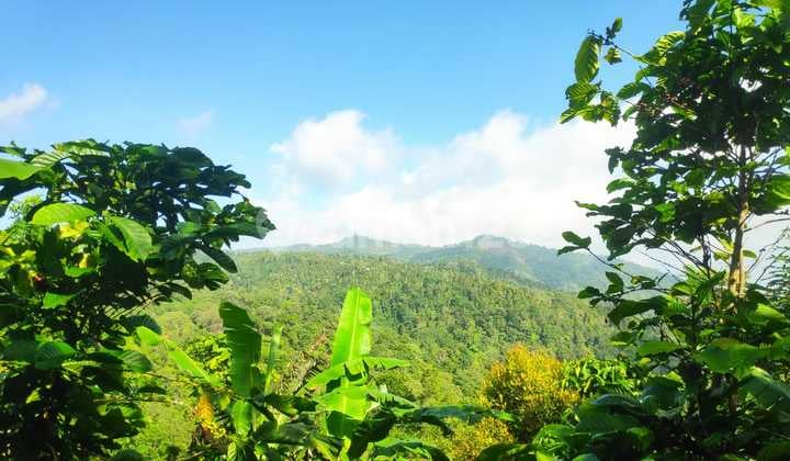 Hot List of Land for Sale Near the Mountain View Waterfall, Sukasada Buleleng Location
