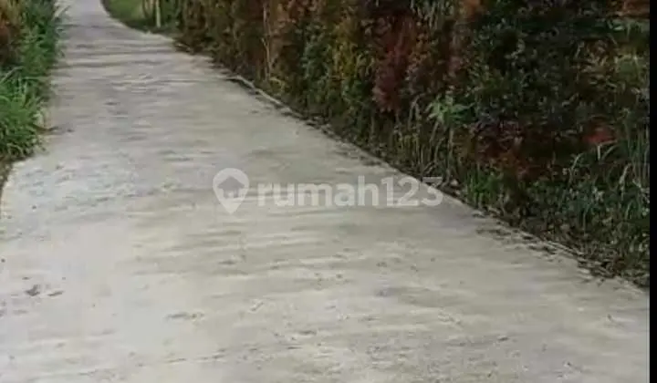 Hot List for Sale of Hill View Land in Munduk Buleleng Location
