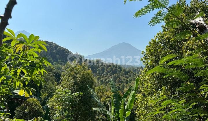 Hot List Di Jual Tanah View Gunung Lokasi Gesing Banjar Buleleng