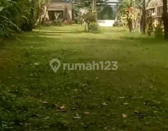 Hot List Di Jual Tanah Lokasi Sebatu Tegallalang Gianyar