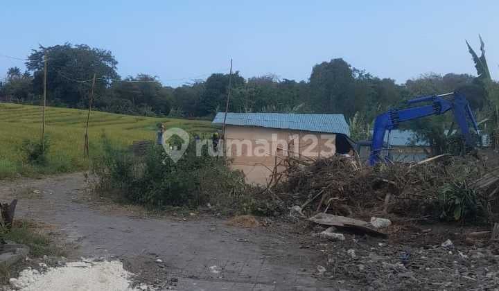 Hot List of Land for Sale with Rice Field View, Cemagi Umalalang Mengwi Badung Location