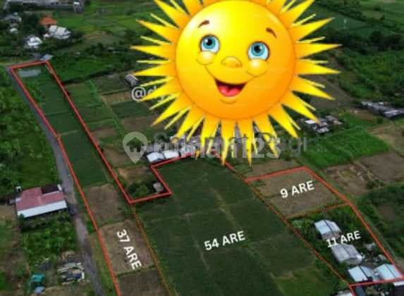 Hot List Di Jual Tanah Lokasi Kesiman Padang Galak Denpasar Timur Hot List Di Jual Tanah Lokasi Kesiman Padang Galak Denpasar Timur