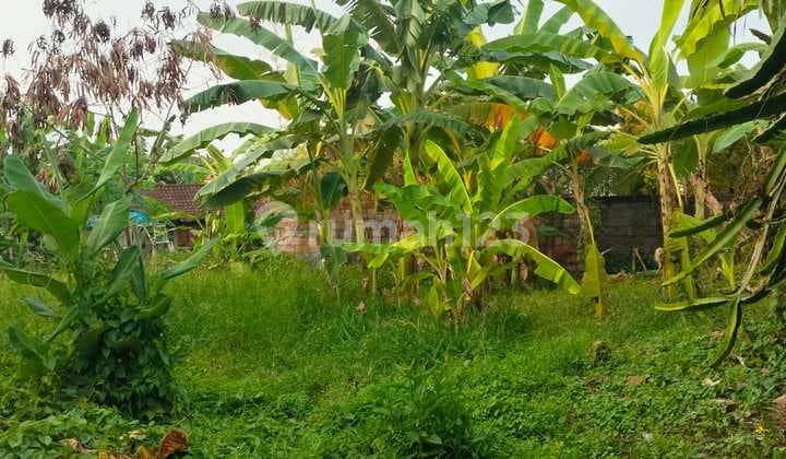 Hot List Di Jual Tanah Kavling Lokasi Canggu Kuta Utara Badung