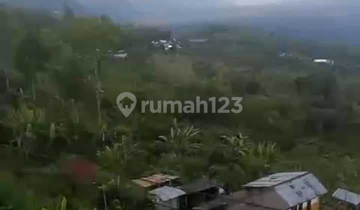 Hot List Di Jual Tanah View Gunung, Bukit, Danau Caldera Lokasi Jalan Raya Penelokan Kedisan Kintamani Bangli