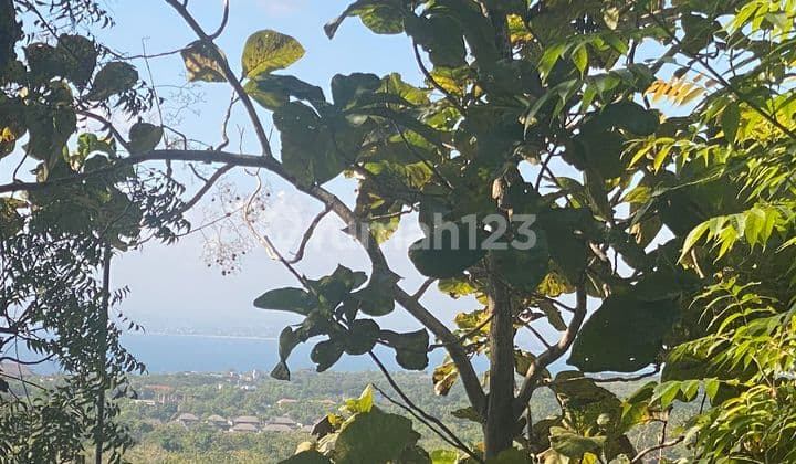 Hot List Di Jual Tanah View Laut Lokasi Jalan Pantai Cemong Pecatu Kuta Selatan Badung