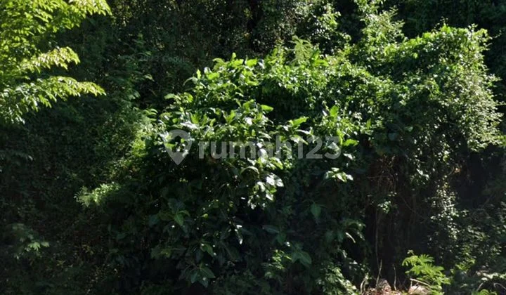 Hot List Di Jual Tanah Pinggir Jalan Utama Lokasi Siligita Nusa Dua Kuta Selatan Hot List Di Jual Tanah Pinggir Jalan Utama Lokasi Siligita Nusa Dua Kuta Selatan