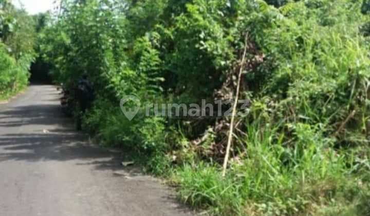 Hot List Di Jual Tanah Lokasi Uluwatu Kuta Selatan Badung