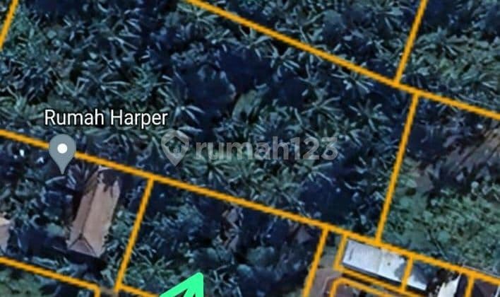 Pasti Closing Di Jual Tanah Lokasi Blumbungan Sibang Kaja Abiansemal Badung