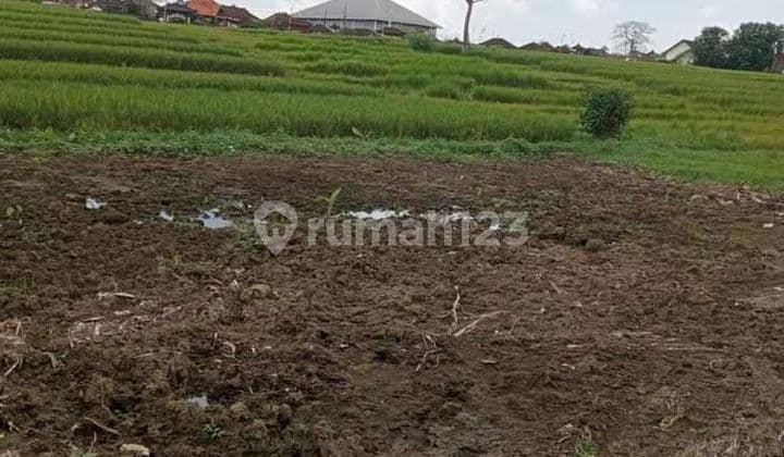 TOP URGENT DI JUAL TANAH LOKASI TANAH LOT BERABAN TABANAN