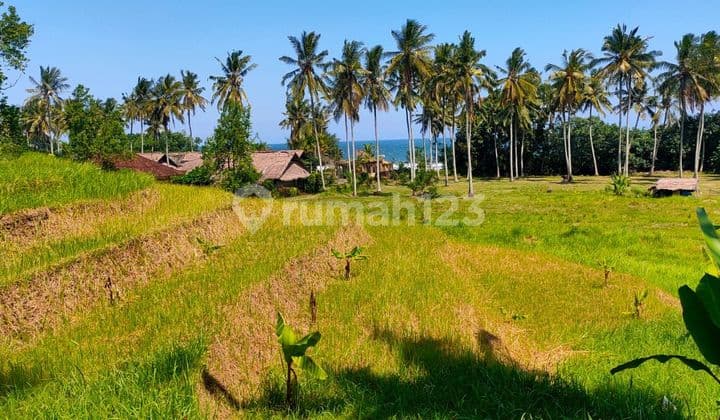 TOP URGENT DI JUAL TANAH VIEW LAUT & SAWAH LOKASI LALANGLINGGAH SELEMADEG TABANAN