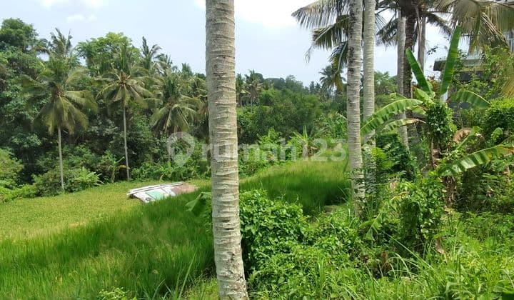 TOP URGENT FOR SALE LAND LOSS SUNGAI VIEW FIELD LOCATION SRI WEDARI UBUD GIANYAR