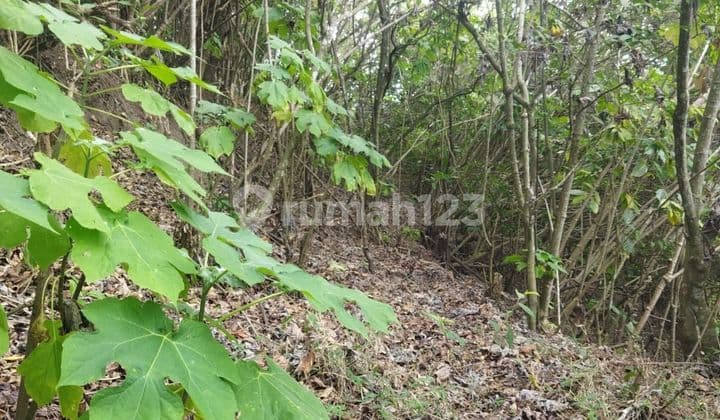 TOP URGENT DI JUAL TANAH VIEW GUNUNG LOKASI BATUR KINTAMANI BANGLI