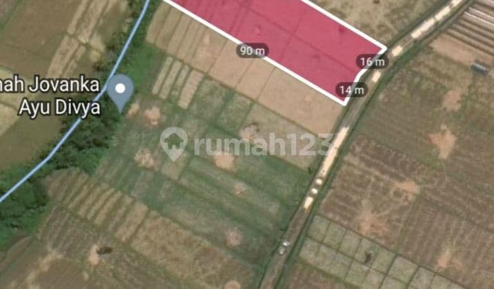 TOP URGENT DI JUAL TANAH VIEW LAUT LOKASI KEDUNGU KEDIRI TABANAN