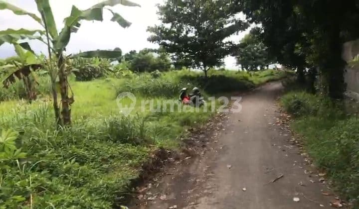 TOP URGENT DI JUAL TANAH LOKASI LEBIH GIANYAR