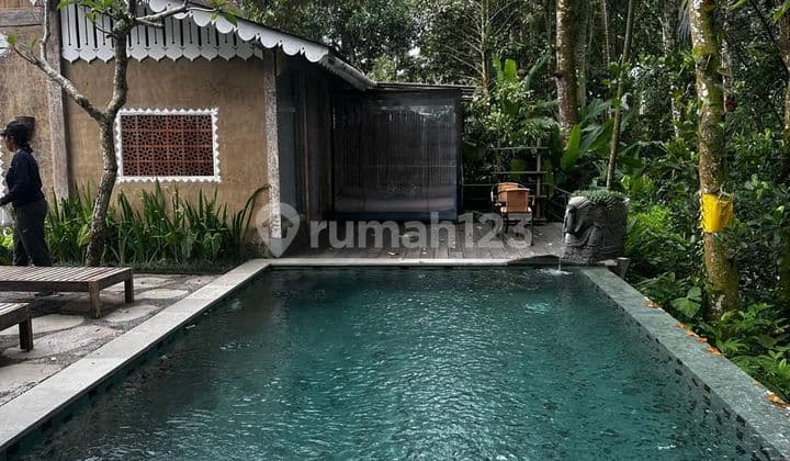 TOP URGENT FOR SALE FOREST & RIVER VIEW VILLA LOCATION PAYANGAN UBUD GIANYAR